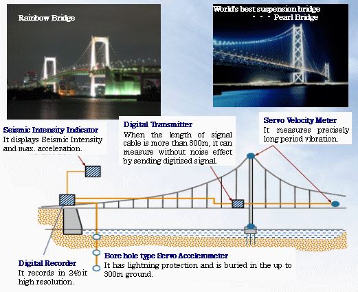 Long period vibration monitoring for long span bridge